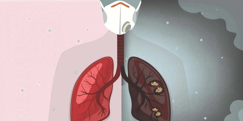 Tác hại của bụi gỗ
